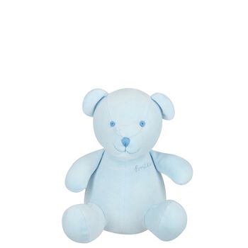 Boys Blue Teddy Bear Soft Toy