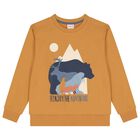 بدلة رياضية باللون الاصفر والازرق للاولاد, 1, hi-res