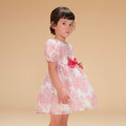 Girls White & Pink Floral Organza Dress, 1, hi-res