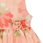 Girls Pink Floral Dress, 1, hi-res