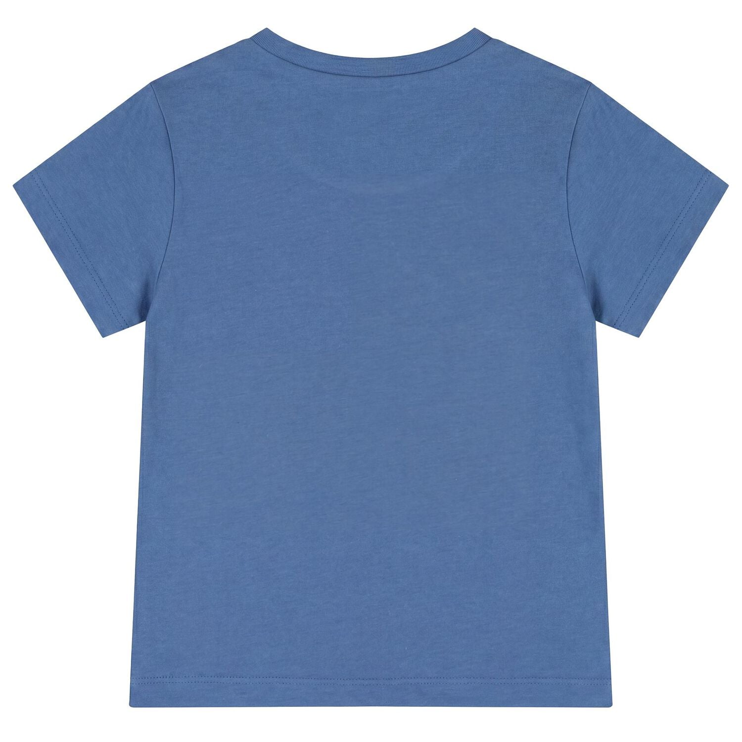 Younger Boys Blue Giraffe T-Shirt, 2, hi-res