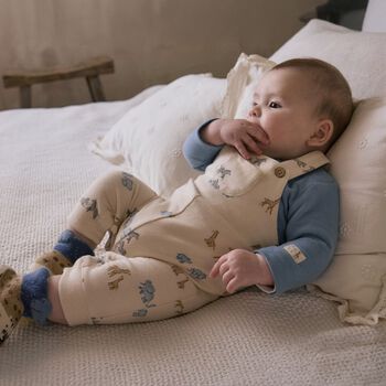 Baby Boys Blue & Beige Animals Dungaree Set