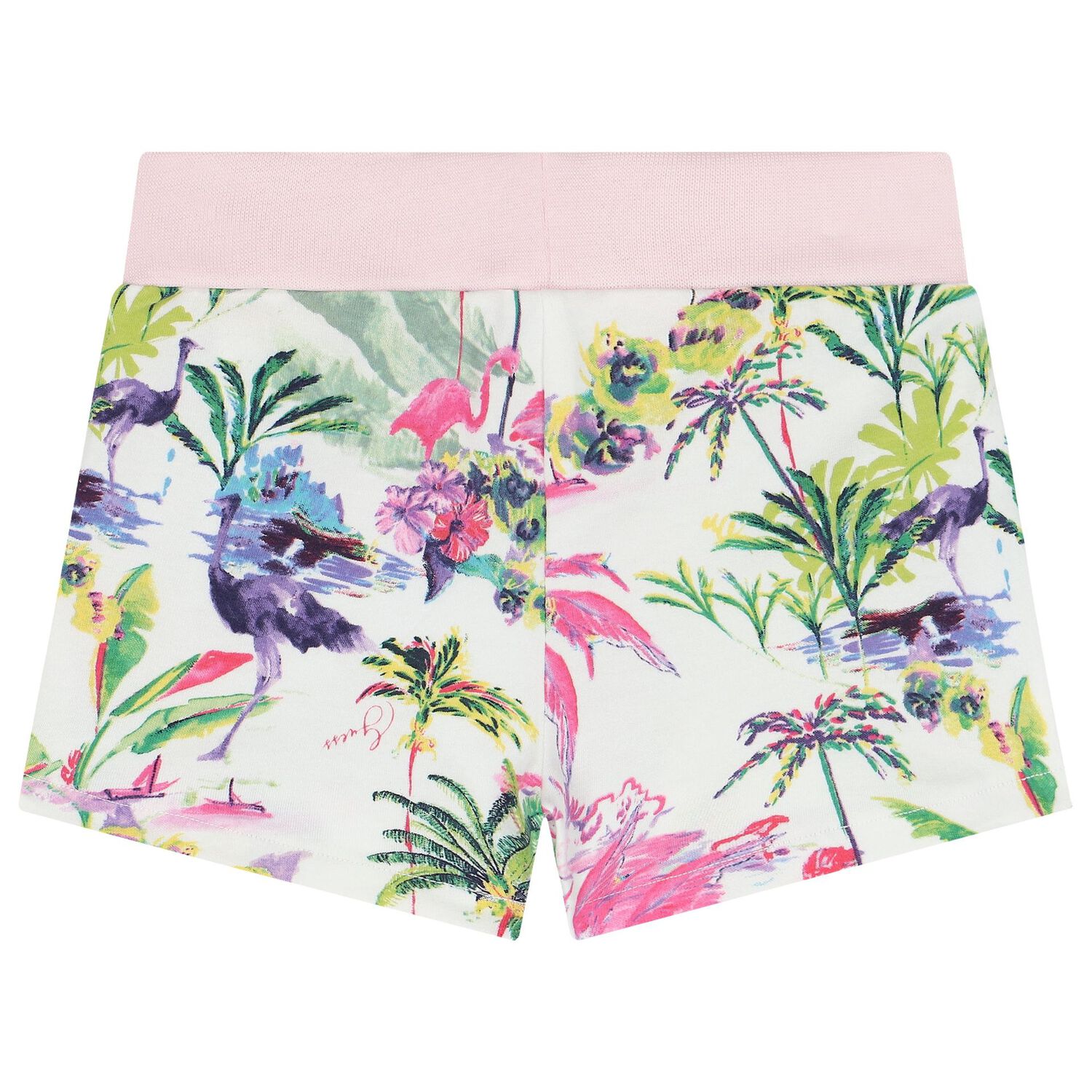 Baby Girls Botanical Print Shorts Set, 1, hi-res image number null