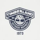 Boys White & Navy Blue Logo Shorts, 2, hi-res