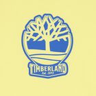 Boys Yellow Logo T-Shirt, 4, hi-res