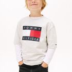 تيشيرت اولاد بالشعار باللون الرمادى , 2, hi-res