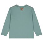 Boys Green Raccoon Long Sleeve Top, 1, hi-res