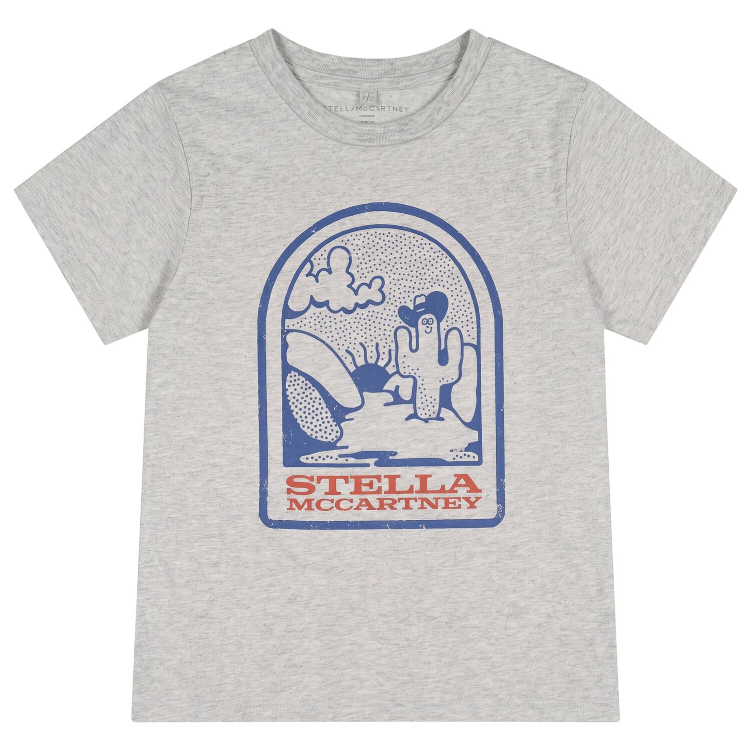Boys Grey Logo T-Shirt , 1, hi-res
