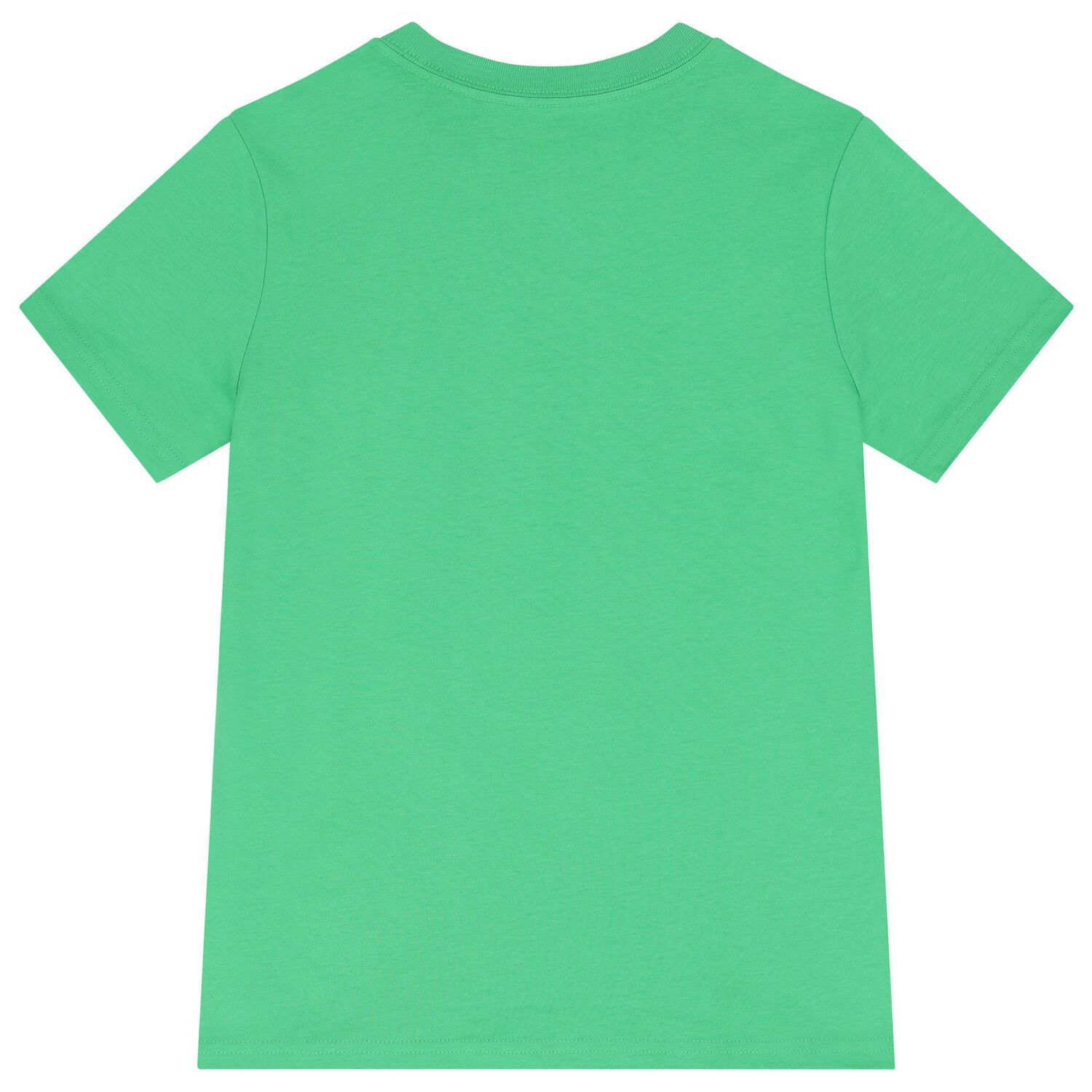 Boys Green Polo Bear T-Shirt, 1, hi-res