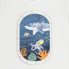 Boys White Underwater Window T-Shirt, 1, hi-res