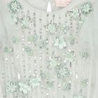 Girls Green Embellished Tutu Dress, 1, hi-res
