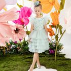 Girls Green Embellished Tutu Dress, 1, hi-res