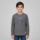 Boys Grey Dinosaur Long Sleeve Top, 2, hi-res