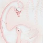 Baby Girls White & Pink Swan Gift Set, 1, hi-res