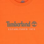 Boys Orange Logo T-Shirt, 3, hi-res