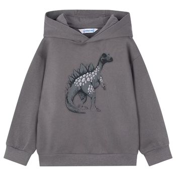 Boys Grey Dinosaur Hooded Top