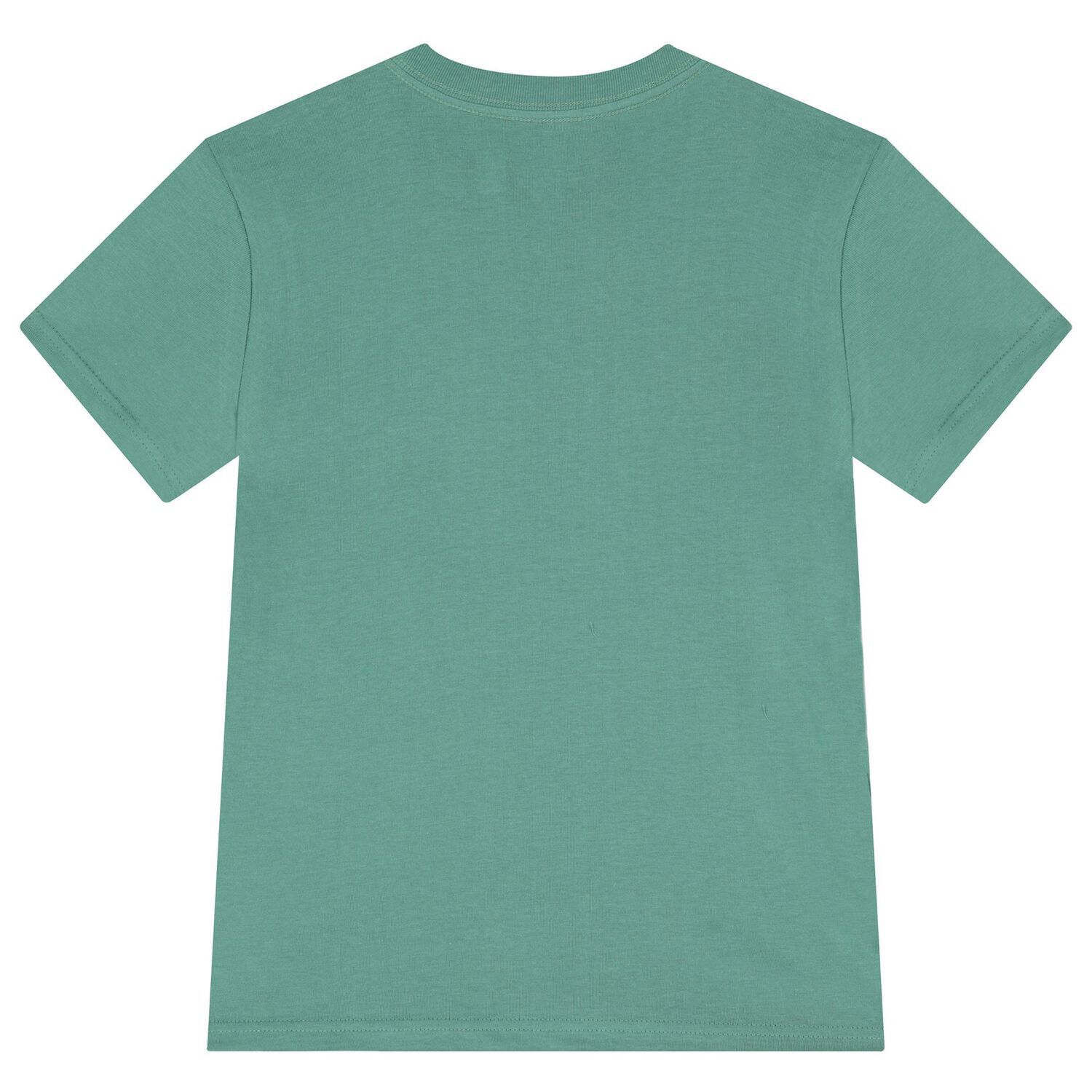 Boys Green Jersey Polo Bear T-Shirt, 1, hi-res