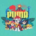 Boys Green & White Logo Paw Patrol T-Shirt, 3, hi-res
