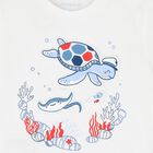 Younger Boys White & Navy Blue Shorts Set, 2, hi-res