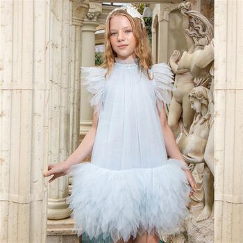 Girls Blue Embellished Tulle Dress