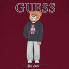 Boys Burgundy Teddy Bear Logo T-Shirt, 3, hi-res