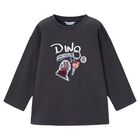 Boys Grey Dino Long Sleeve Top, 1, hi-res