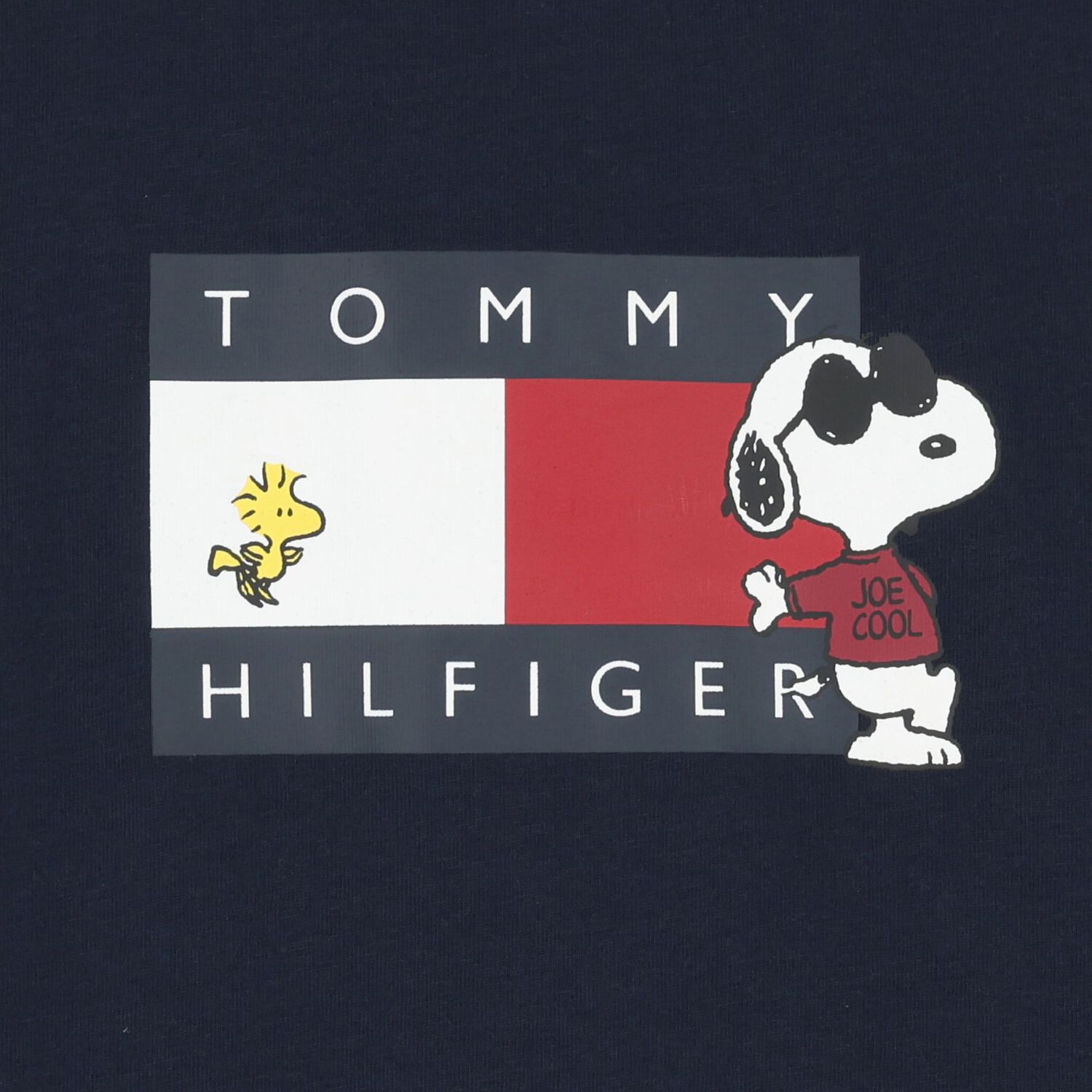 Boys Navy Blue Snoopy Logo T-Shirt, 1, hi-res