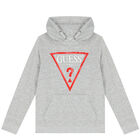 Boys Grey Logo Hooded Top, 3, hi-res