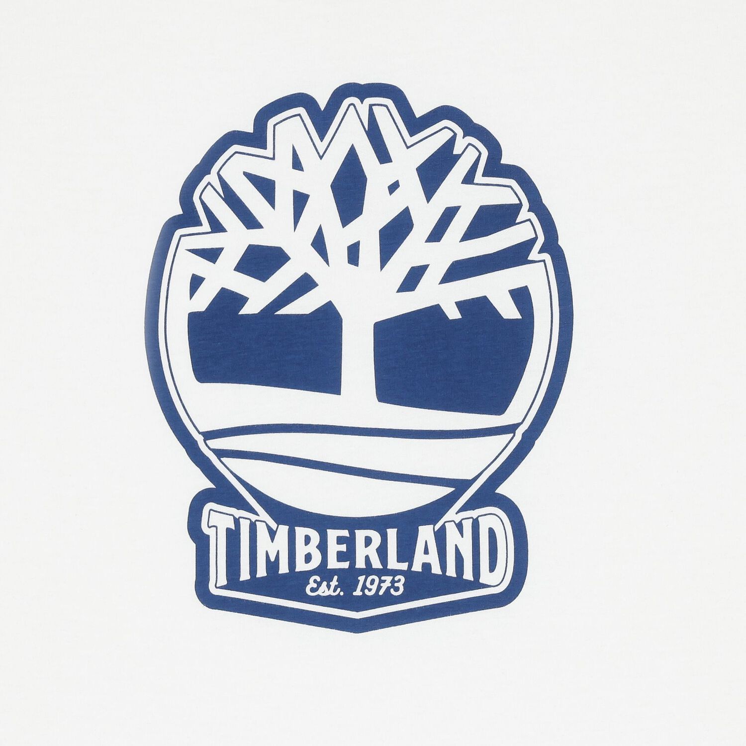 تي شيرت للأولاد باللون الأبيض بشعار, 2, hi-res image number null