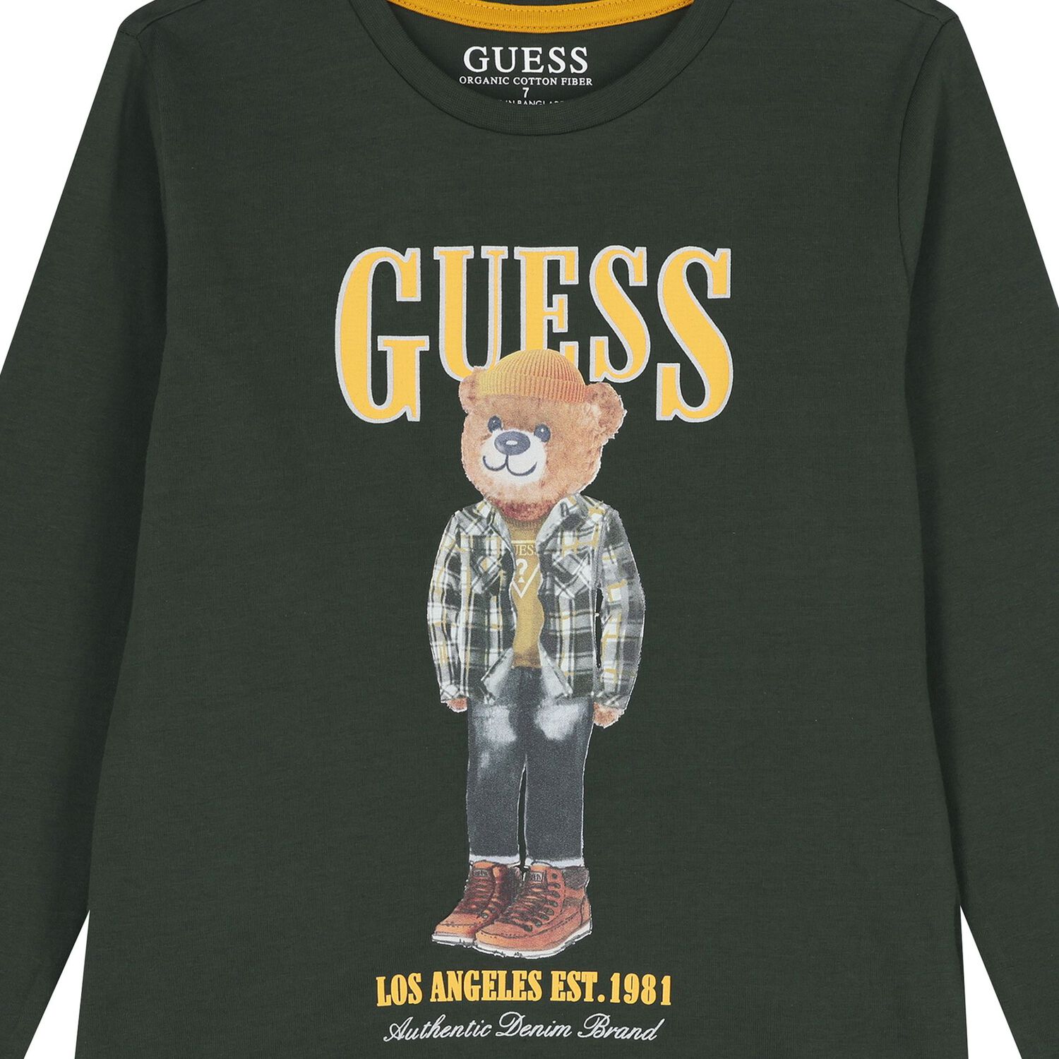 بلوزة دب تيدي باللون الأخضر للأولاد بأكمام طويلة, 4, hi-res