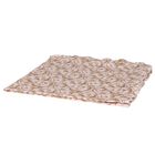 Baby Girls Pink & Gold Blanket, 1, hi-res