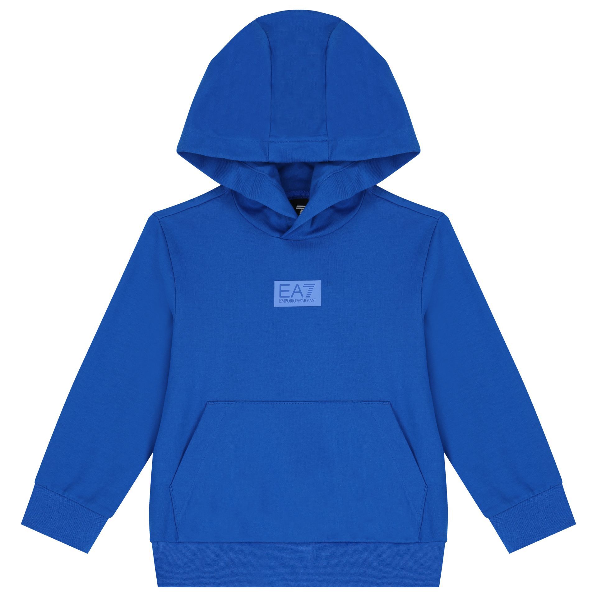 Emporio armani ea7 master hoodie hot sale