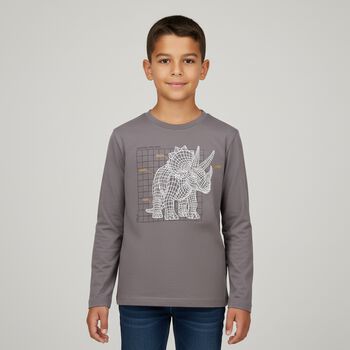 Boys Grey Dinosaur Long Sleeve Top