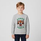 Boys Grey Tiger Logo Sweatshirt, 1, hi-res