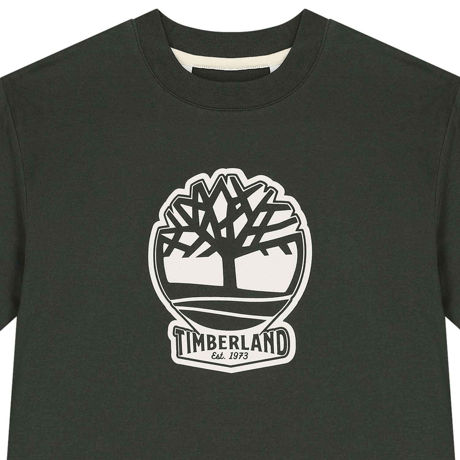 تيشيرت أولاد بالشعار باللون الأخضر, 1, hi-res