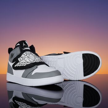 Grey, Black & White Sky Jordan 1 Trainers
