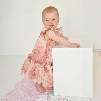 Baby Girls Pink Floral Tulle Dress 