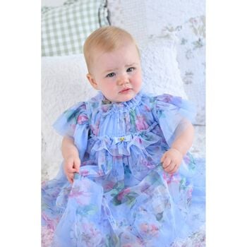 Baby Girls Blue Floral Tulle Dress 