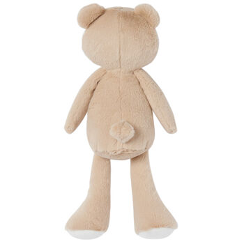 Beige & White Teddy Bear