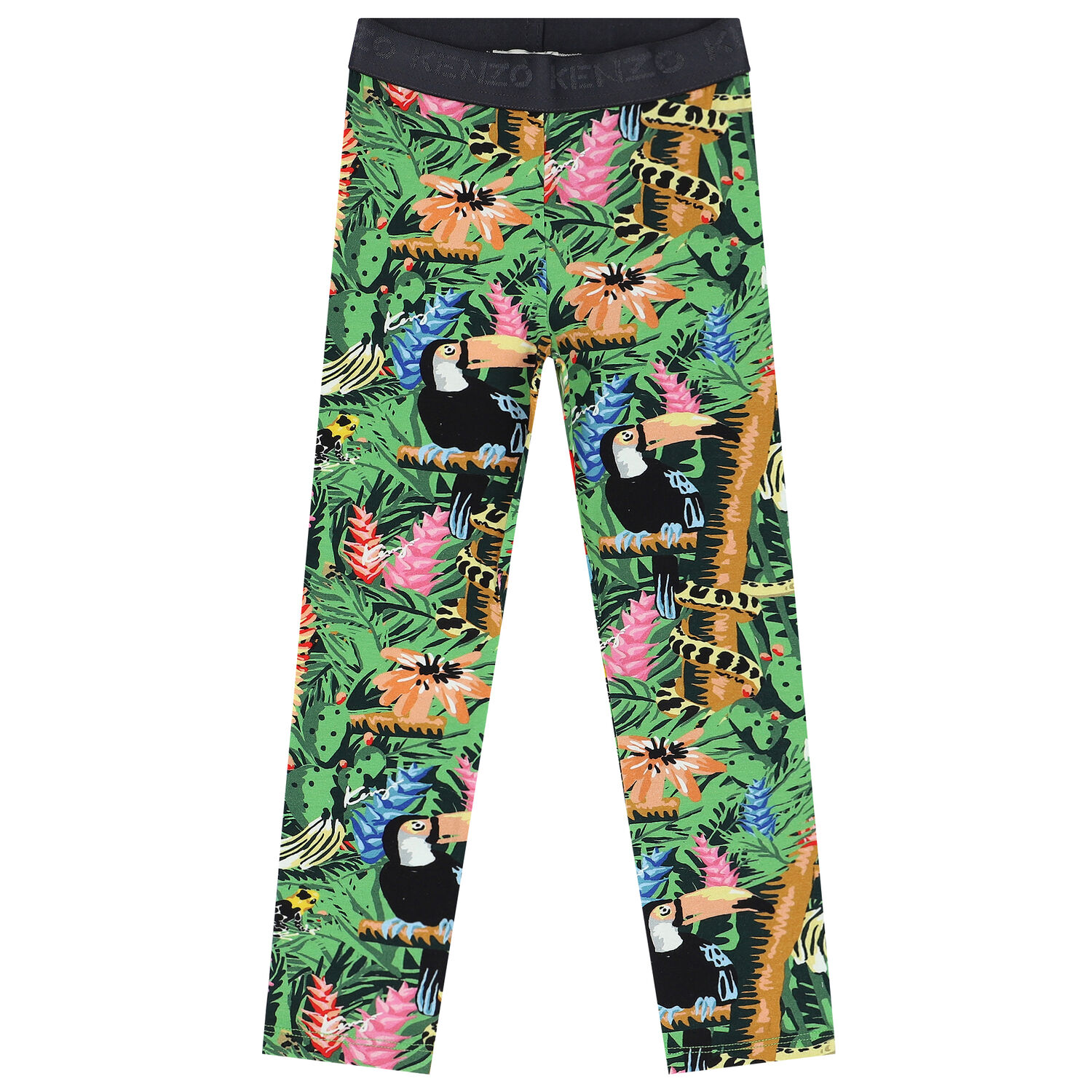 ليغنز استوائي باللون الأخضر والأسود , 1, hi-res