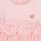 Baby Girls Pink Tulle Dress Set, 1, hi-res