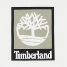 تيشيرت بالشعار باللون الأبيض للأولاد, 2, hi-res