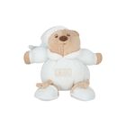 Baby Boys Blue & Beige Teddy Bear ( 13cm ) , 1, hi-res