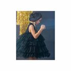 Girls Black Tulle Dress, 1, hi-res