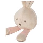 Baby Girls Ivory & Pink Teddy Bear Comforter, 2, hi-res
