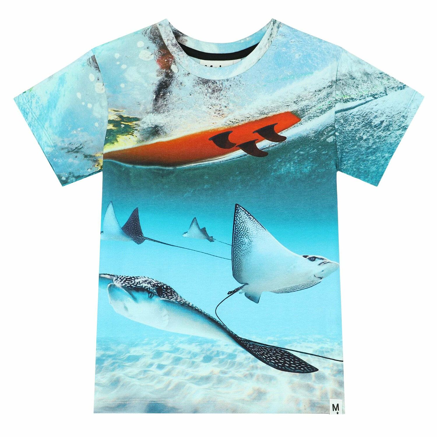 Boys Blue Sting Ray T-Shirt, 1, hi-res image number null