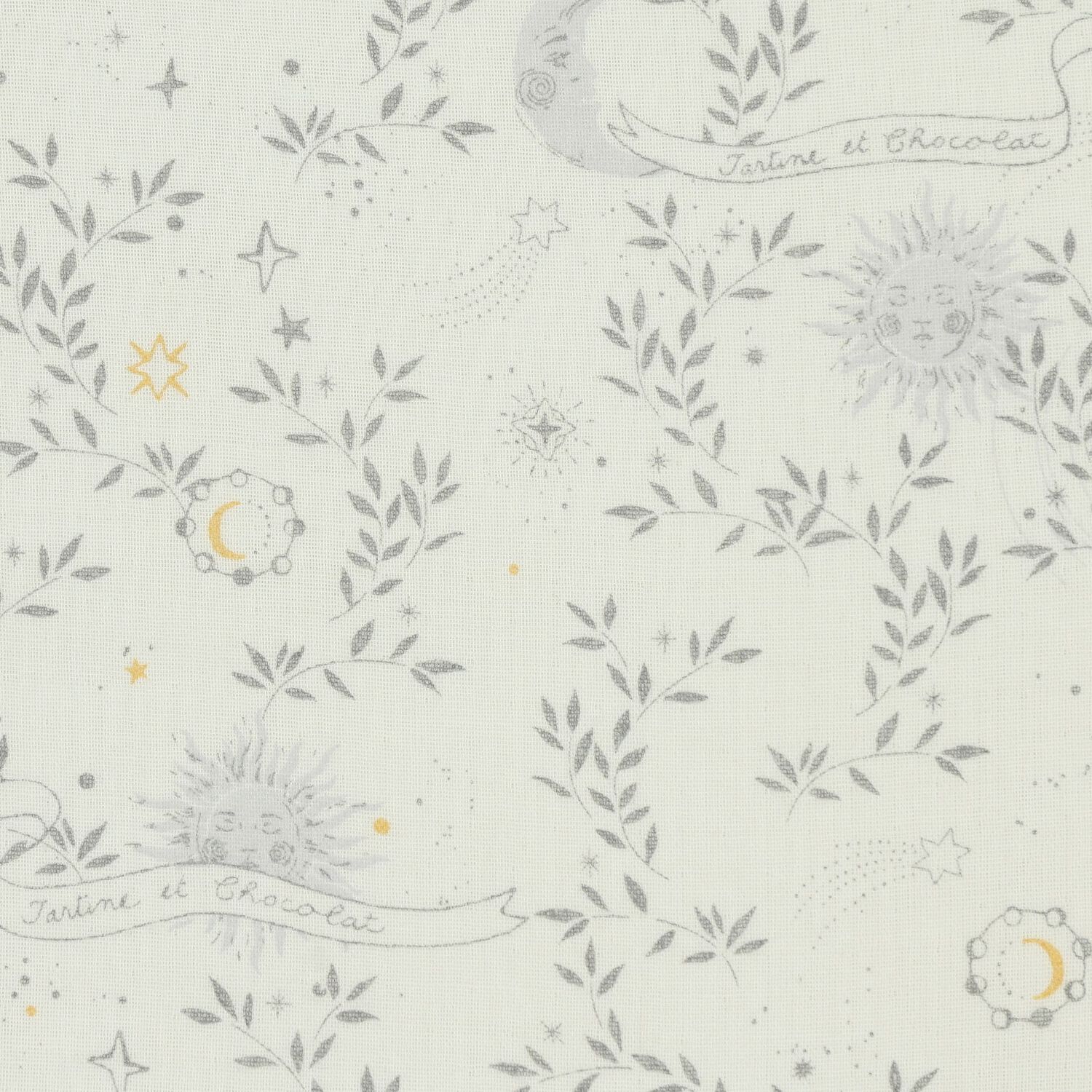 عش الطفل النجمي العاجي, 1, hi-res