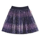 Girls Navy Blue Embellished Pleated Skirt, 1, hi-res