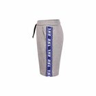 Boys Grey Logo Stripe Shorts, 1, hi-res