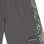 Boys Grey Logo Shorts, 1, hi-res